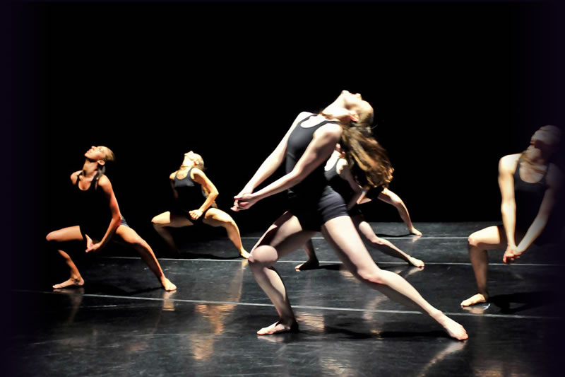 New Jersey Dance Theatre Ensemble